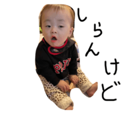 732516856