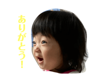 732525379