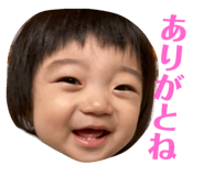 732525380