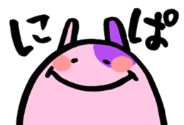 7325554
