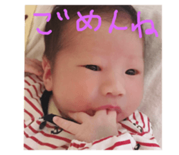 73256784