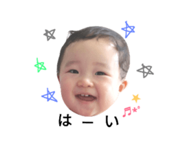 73256911