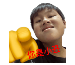 732569531