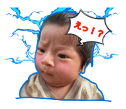 732572231