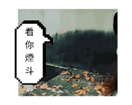732576620