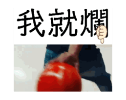 732576626