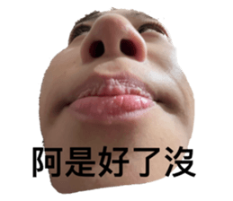 732618180