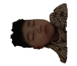 732618184
