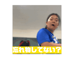 732619083