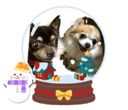732622121