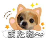 732622132
