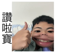732627628
