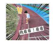 732630466
