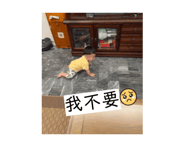 732630467