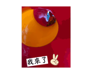 732630473