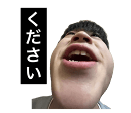 732631591
