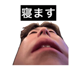 732631598