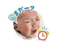 732637460