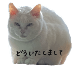 732647591