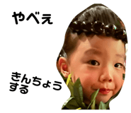 732655995
