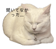 732657002