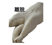 732657005