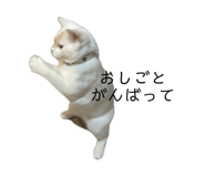 732657013