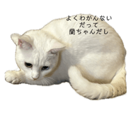 732657016
