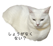 732657017