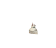 732657023