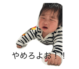 732670528