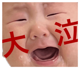 732689051