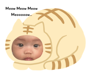 732690863