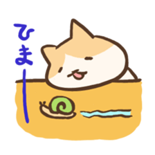 732707