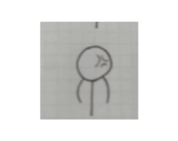 732713497
