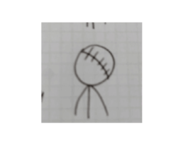 732713502