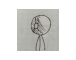 732713503
