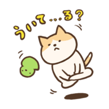 732717