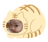 732742518