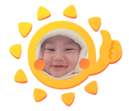 732742528