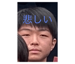 732747496