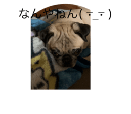732747728