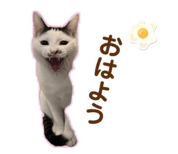 732783043
