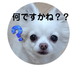 732784403
