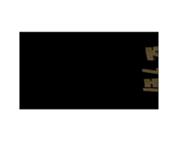 732791646