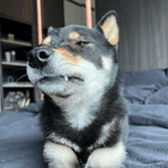 732794719