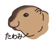 732797899