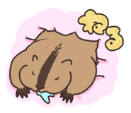 732797908
