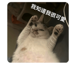 732802247