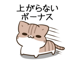 732809256